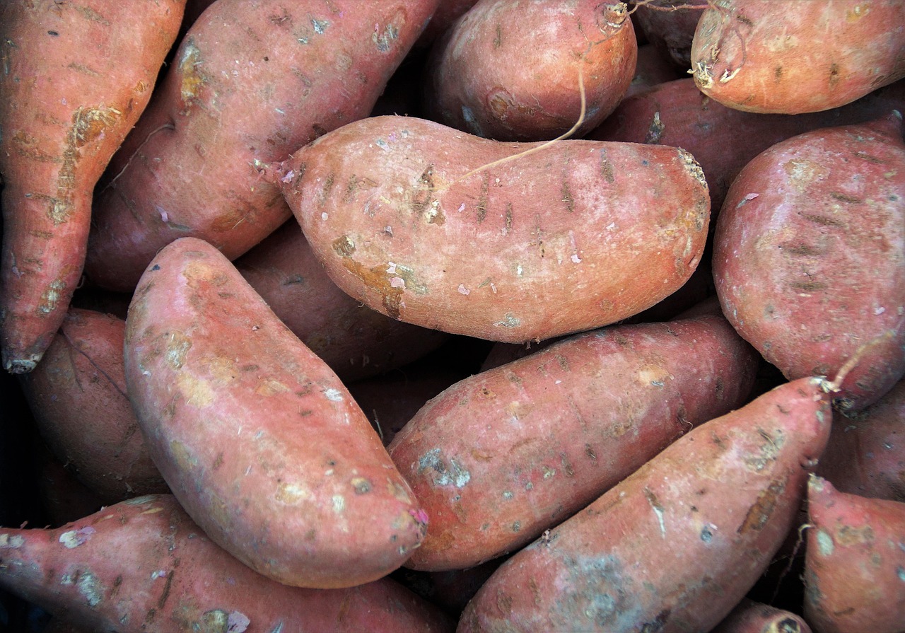 Food as Medicine: Eat Right to Kill Cancer Cells