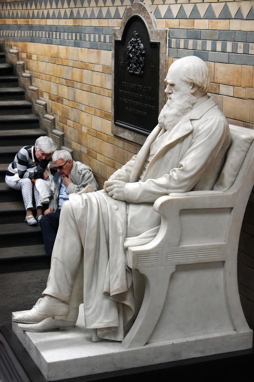 Darwin’s African Origins