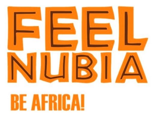 About FeelNubia: Home of Africa’s Intelligentsia