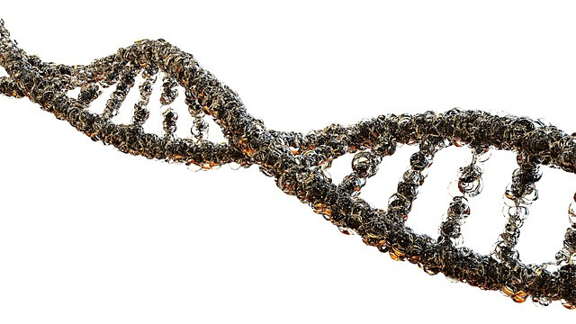 African DNA: Humanity’s Deepest Roots & Cradle of Diversity