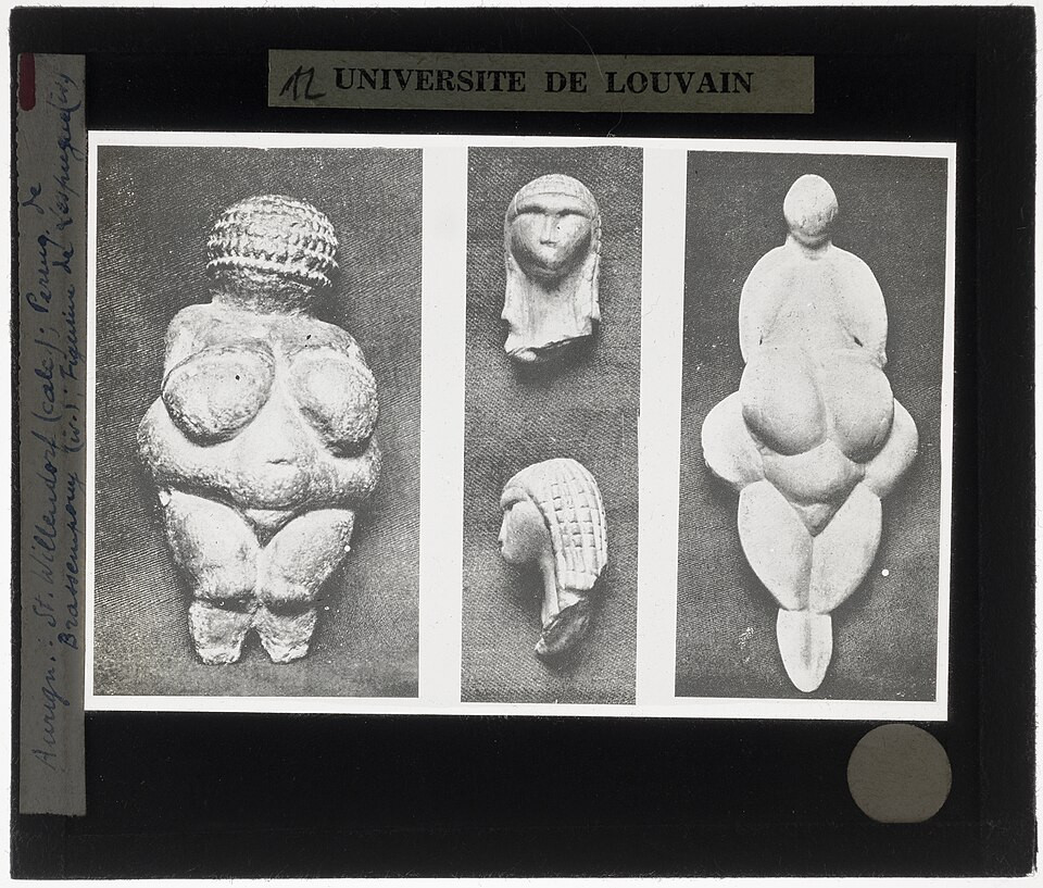 Willendorf to Baartman: Venus, BBLs and the African Body