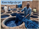 Africa’s People: Ethnic Groups That Shape The Continent (West Africa)